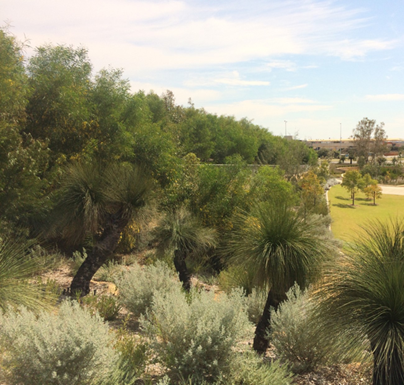 Catalina Regional Council